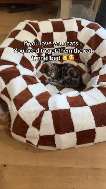 Okay but can they make a tunnel bed for me? I want to be a cat just so I can have this 🤣  #catbed #cattunnel #cattoys #petlover #lesurepet #tiktokshopmemorialday #catsoftiktok #catlovers 
