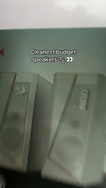 And it’s free shipping too 😭 #speakers #budget #budgetspeakers #gaming #pcsetup #gamingspeakers #whitespeakers #audio #desk #deskspeakers #creatorsearchinsights 