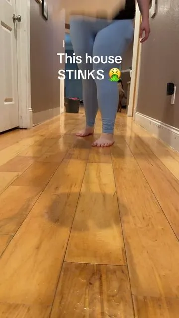 how to make house smell good with pets 😍😍 I'm never cleaning again without this odor eliminator #petparent #pets #housesmellsamazing #noseblind #cleaning #cleaningtips #dogmom #petodoreliminator #dogessentials #dogessentials #koe 