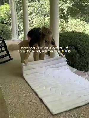 Dogs can overheat a lot faster than we think! This cooling mat stays 4-9 degrees cooler than the environmental temps, doesn’t absorb any heat and gives your pet a soft, cool place to relax on hot days. Use it indoors, outdoors, for car rides, over their pet beds, anywhere you need it! Lightweight, chew resistant and machine washable/dryable!🙌#coolingmat #petmat #dogbed #petbed #dogsafety #dogmusthaves #dogowner #dogmom #dogdad #summerheat #tiktokshopmemorialday #tiktokshopcreatorpicks #summermusthaves  #tiktokshopsummerturnup #dealsforyoudays #ttslevelup 