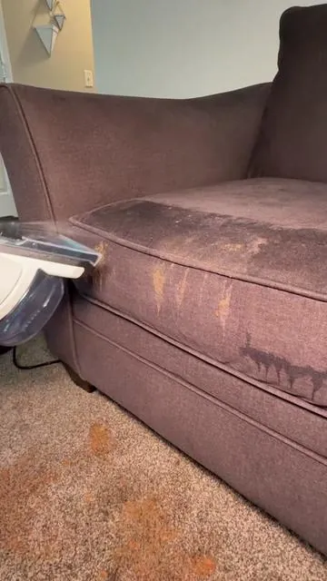 This is something every parent/pet owner needs! 🙃 @Shark Home #shark #sharkvacuums #wetvacuum #cleantok #stainremover #tiktokshopcreatorpicks #tiktokshopsummerturnup #dealsforyoudays #tiktokshopmemorialday 