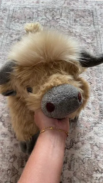 He's BACKKKK! HURRY!! They just restocked!! This Highland Cow will be your new emotional support BFF - weighted, warm & way too cute!! You can microwave the beads or put them in the freezer to get him hot or cold. #WeightedPlushie #tiktokshopsummerturnup #emotionalsupportanimal #HighlandCow #ComfortPlushie #hotcoldtherapy #weightedblanket #MicrowavablePlush #AnxietyRelief #SelfCare #StressRelief #dealsforyoudays #crampsreliever #uoozii #cowstuffedanimal #MomsofTikTok #tiktokshopcreatorpicks #tiktokshopmemorialday