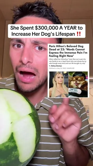 Crazy!! Probiotics are so important and no vet ever tells this to dog owners