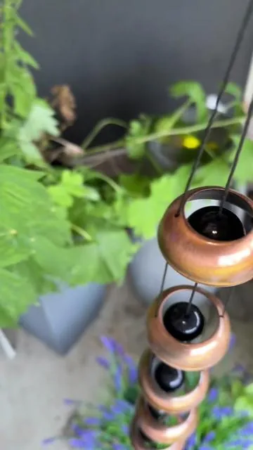 So pretty. #windchime #windchimes #patio #shauna🦒 