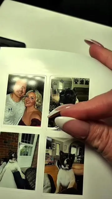 This machine prints AND cuts stickers, plus comes with regular photo paper to print out photos RIGHT from your phone using the free app ✨ #diystickers #stickermachine #bluetoothphotoprinter #photoprinter #scrapbooking #crafttok #giftsforteens #stickers #tiktokshopfinds #tiktokmademebuyit #creatorsearchinsights #SelfCare #grwm #elevateyourhome #sunsetsavings #treasurefinds #seasonalessentials #selfcarefinds #makecozyhomeaffordable #gift #giftideas #giftguide #treatyourself #tiktokshopholidayhaul #starcreatorcompetition #TTSLevelUp #spotlightfinds #ttsdelight #selfcarefinds #outdoorfun  #mademyyear #tiktokshopcreatorpicks #MySuperMoments #tiktokshopnewarrivals #electronicsweek #fashionlookbook #TTSdelightnow #TiktokShopJumpstartSale #loveatfirstfind #thebiggame #freshstartessentials #springglowup #Tiktokshoploveatfirstfind #seasonalgems #goalcrusher #goalcrusherprizes #lovelanguage #tiktokshopthebiggame #tiktokshoprestock #tiktokshopspringglowup #shopblackowned #springintohealth #creatorboostcamp #launchpadleaderboard #tiktokshopmothersday #tiktokshopmemorialday #springtok #shopwomenowned #homespringglowup #tiktokshopunboxing #homerefresh #ttsbeautybesties #funinthesunsale #tiktokshopsuperdeal #tiktokshopsummerturnup #TTSCreatorbash #dealsforyoudays #Maynova #earlyaccess #creatorfirst #creatorspicksuncare #summervibes #TTSThunderbolt #photosticker #stickercutting 
