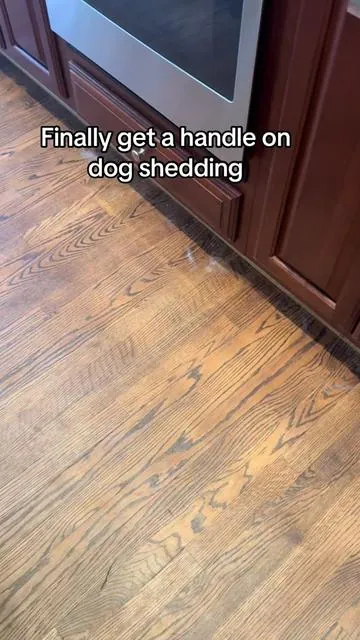 Vacuuming at the source 🐾 saves so much time later! #shedding #pethair #doghair #doggrooming 