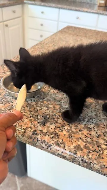 His favorite snacks 