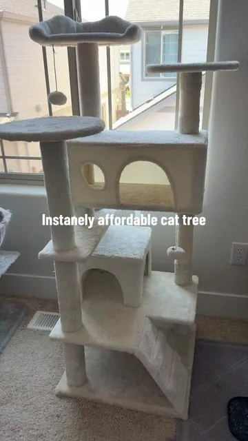 My cats are obsessed with this huge cat tree and I’m obsessed with the price I spent on it! Plus, free and fast shipping #CatTree #ClimbingTree #CatBed #CatToys #LargeCatTree #AffordableCatTree 