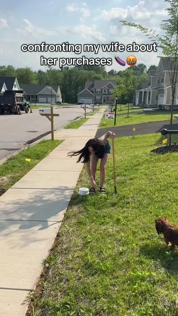 Ripping weeds out of the ground has never been easier 🌱 #lawncare #lawn #grampasweeder #garden #gardentools 