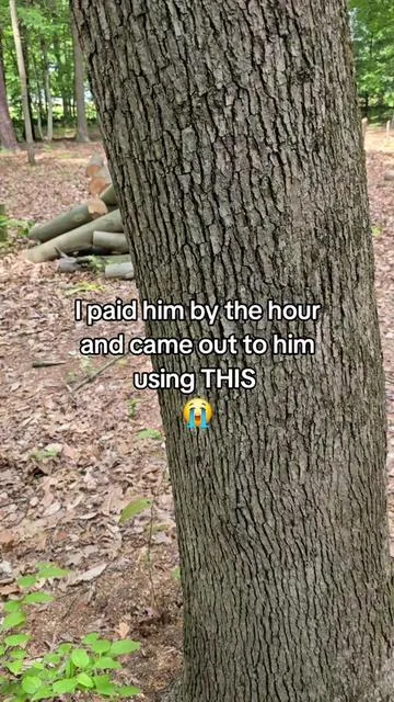 Vevor Gas Chainsaw ⛓️🪚 #tiktokshopcreatorpicks #dadsoftiktok #treework #lawncare #treecare #bluecollar #mechanic #homesteading 