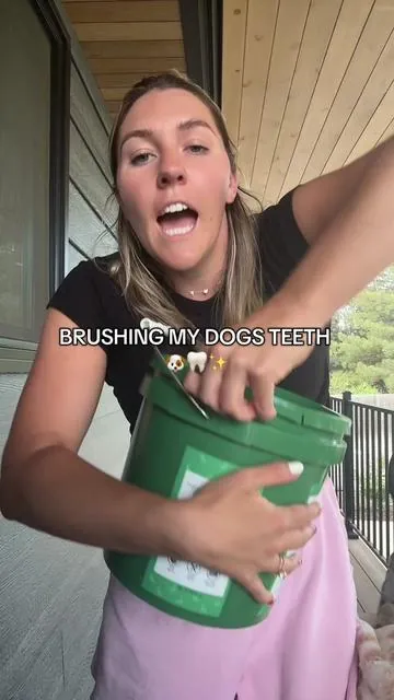 I love using duck feet, frozen carrots, and dental powder to keep my dogs teeth happy and healthy! 🤍 plus having them pick is so fun  #dogteethcleaning #dogteethbrushing #dogchews#dogmom#dogdental #dogenrichment #cattledog  #itchydog #healthychew 