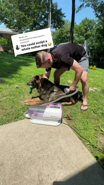 Replying to @musicboyfriendyumyum My dogs shed WAY too much  #DogDadLife #PetGroomingHack #FurEverywhere #DogLoversUnite #VacuumLife #GroomingRoutine #MessFreeHome #HappyPupHappyHome #DogMomLife #CleanPetCleanHome #FurCleanup #DogCareEssentials #tiktokshopsummerturnup #tiktokshopcreatorpicks #rescuedog #dogsoftiktok #dogshedding 