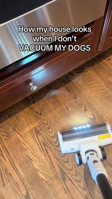 I vacuum at the source because it’s good for my dogs and cuts the vacuuming to a fraction.   #doghair #sheddingseason #doggrooming #deshedding 