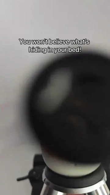 You won’t believe what’s hiding in your bed! 😰#teant #TEANT #comeback #dustmites#dustmiteallergy #TikTokShop #cleaning #mattressvacuum #deepclean #fyp #foryoupage #foryou #musthave #tiktokmademebuyit #healthyliving #homecleaning #vacuum #mattresscleaning #ShopVideoCarnival#shopvideocarnlval 
