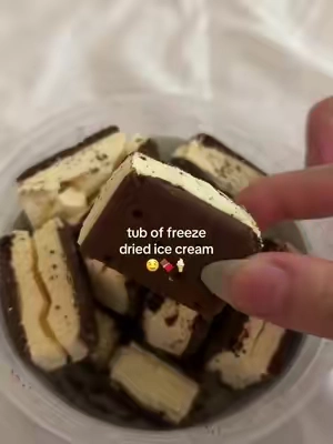 tub of freeze dried ice cream sandwiches 🤤🧊#freezedriedcandy #freezecandy #freezedried #freezedriedicecream #freezedriedicecreamsandwich