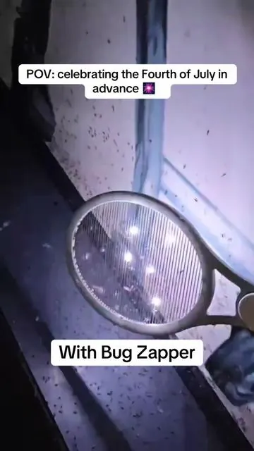Perfect for indoor and outdoor use! Zaps flies, mosquitos, fruit flies, gnats, moths, and more! This is a 2-in-1 bug zapper! Can be used as a zapper lamp or zapper swatter! #flyswatter #electriczapper #electricflyzapper #mosquitozapperlamp #Outdoors #indoors #flies #mosquito #bugs #creatoricons#tiktokshopmemorialday #summertime #viralvideo 