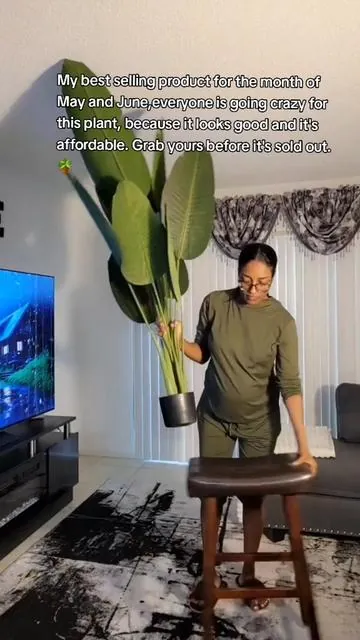 EVERY HOME SHOULD  HAVE ONE OF THIS! #homedecor #plant #birdofparadise 