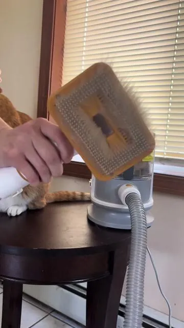 #petsoftiktok #dogsoftiktok #catsoftiktok #cat #dog #catmom #dogmom #petproducts ##grooming##pethair##vacuum##clean##cleaning ##fyp
