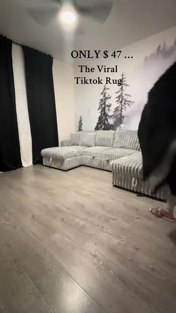 The viral rug! Get yours today 🛍️ (I have size 6x9) 🖤 #viralrug #rug #homedecor #apartmentdecor #regularapartment #newapartment #blackaesthetic #tiktokshop #tiktokmademebuyit #dealsforyoudays 