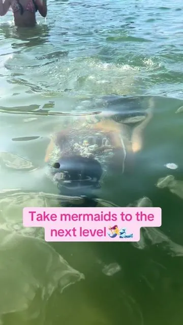 Playing mermaids 🧜‍♀️ and seeing in iridescence>>> 😍😍😍 super cheap and the suction is insane 🌊grab em #goggles #mermaids #water #beach #cheap 