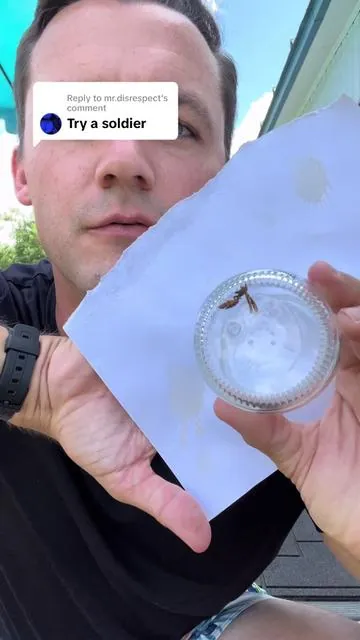 Replying to @mr.disrespect I FINALLY CAUGHT A WASP! 
