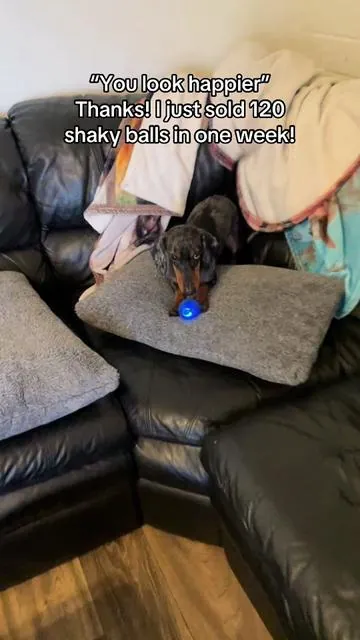 Click shop link to order yours today! Trust me, you dog will love it! Only $8.99 w/free shipping #fyp #foryou #foryoupage #fypシ #dog #dogsoftiktok #dachshund #viral #trending #petproducts #dogtoy #tiktok #tiktokshop 