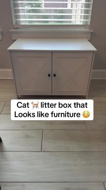 #litterbox #catlitterbox 