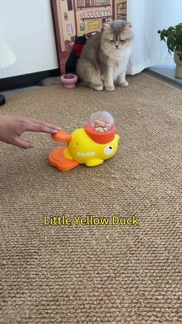 #catsoftiktok #dealsforyoudays #cattoys 