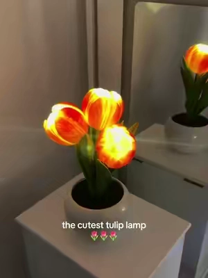For all my tulip lovers 🌷#tulips #tuliplamp #roomdecor #roomlamp #tiktokshop #flashsale #dealsforyoudays #tulipanes #tuliplover #fyp #foryoupage #parati #flowers 