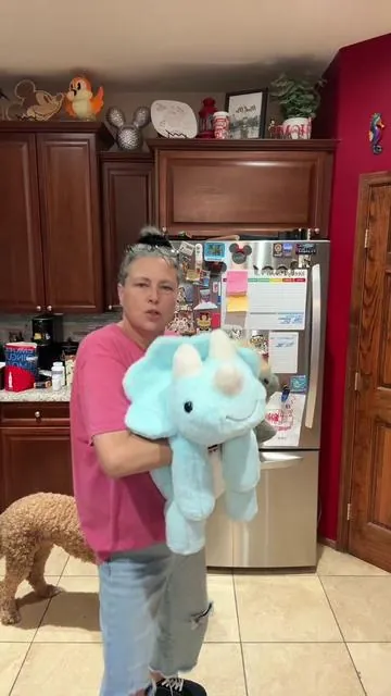 This is your sign that the highland cow weighted plush is in stock and on sale right now! Grab them up and put away for holiday gift giving while they are available and on the deals. #weightedplush #highlandcow ##dealsforyoudays #TikTokShopCreatorPicks #TTSLevelUp 