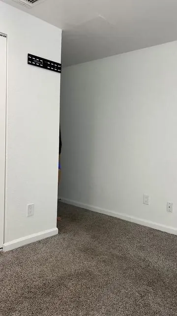7524717366794669343