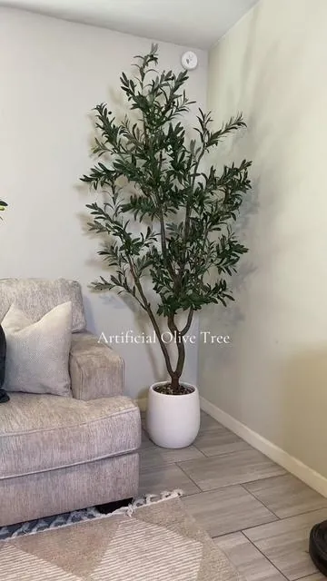 #olivetree #decor 