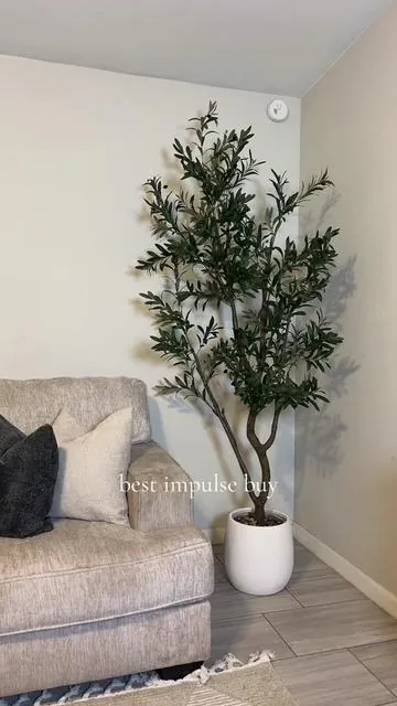 #olivetree #decor #interiordesign 