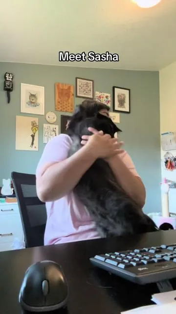 Hit the link and get these Cat Chew Ropes so this doesn’t happen to you! #cat #cats #viral  