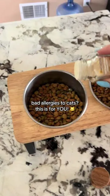 thank you @Pacagen for making my life easy (and breathable) again! 🫶🏻 #catsoftiktok #catallergies 