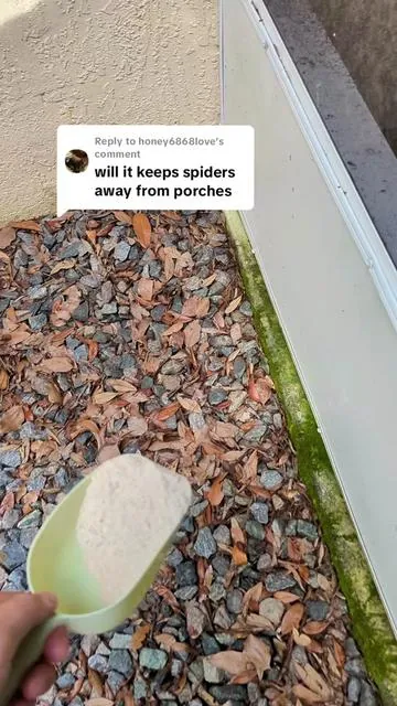 Replying to @honey6868love First Saturday lime is an eco-friendly insect repellent that dries out any insect with an exoskeleton, however, it's safe around pets and gardens.😎 #dealsforyoudays #tiktokshopcreatorpicks #ecofriendlyinsectrepellent  #organicinsectrepellent #insectrepellent #naturalrepellent #spiderrepellent 