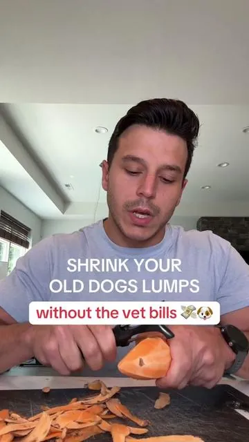 the lumps are so much smaller after a month #dogsupplements #olddog #doghealth #dogmom #turkeytailmushroom #dealsforyoudays #tiktokshopcreatorpicks 