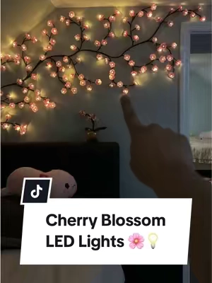 One year later, and these are still my favorite purchase 🌸😍#roomdecor #ledlights #cherryblossom