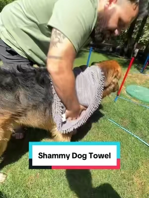 Dog shammy towel is so absorbent it literally dries my dogs in no time! @Muddy Mat #muddymat #dogtowel #shammy #dogproducts #tiktokmademebuyit 
