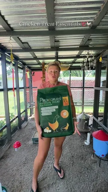 Only the best for my girls! 🐓🪱 an essential for my girls that I keep in stock at all times to help promote better eggs, and better health overall. ##chickens##chickensoftiktok##chicken##chickentok##chickenfeed##chickensoftiktok🐔##backyardchickens##homestead##homesteading##chickentips