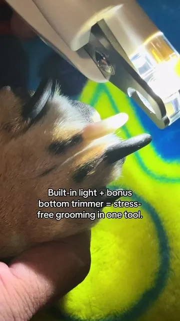 These dog clippers come with a built-in LED light so you can see exactly where to cut—and a bonus trimmer on the bottom for a full groom at home.  Safe, easy, and vet-approved for a paw-fect finish every time. 🐶✨ #doggrooming #dogclippers #petgroomingtools #dognailtrimmer #doggroomingathome #petcareessentials #ledclippers #easydoggrooming #dogmomlife #dogdadlife #petproducts #dogsoftiktok   #nailclippers #light #hairtrimmer #rechargeable #foryoupage 
