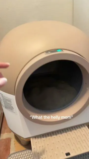 Never using regular litter box again😝#PetsofDyson #pets #catsoftiktok #litterbox #selfcleaninglitterbox #cats #autocleaning 