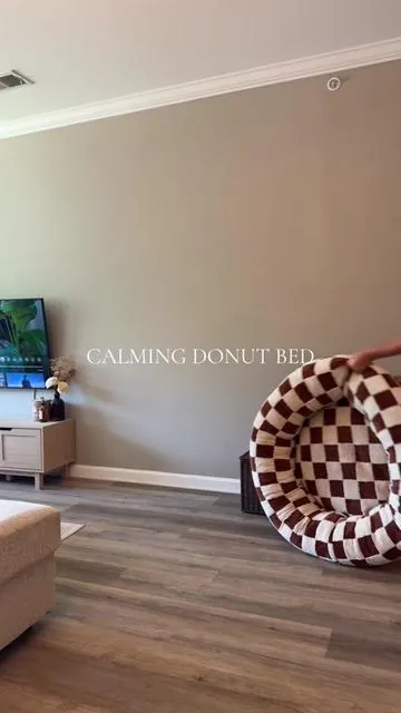 Finally a cute dog bed!! She loves it so much🤍 #calmingdonutbed #donutbed #calmingdogbed #dogbed #goldendoodle #dogsoftiktok #lesurepet 