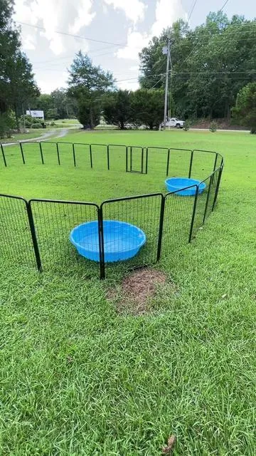 This fence is easy to put together it’s really sturdy, this is 2 sets total 32 panels #dog #fence #pets #playpen #fencing #tiktokshopbacktoschool 
