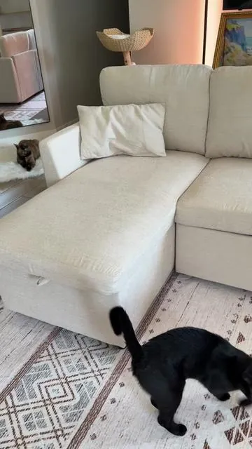 I got this couch for the office so it can be used as another sleeping space for when family visits…But now I’m debating on keeping this in the livingroom 😆 #sleepersofa #couch #sofa #oversizedsleeper #pulloutcouch