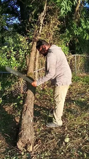 7532690005945371934