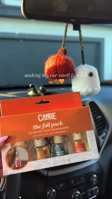 Fall season in your car 😍✨ #carfreshener #carfreshies #fallseason #falliscoming #pumpkinseason #carmusthaves #pumpkinspice #fallvibes #dealsforyoudays #tiktokshopfinds #fallfinds #fyp #foryoupage 