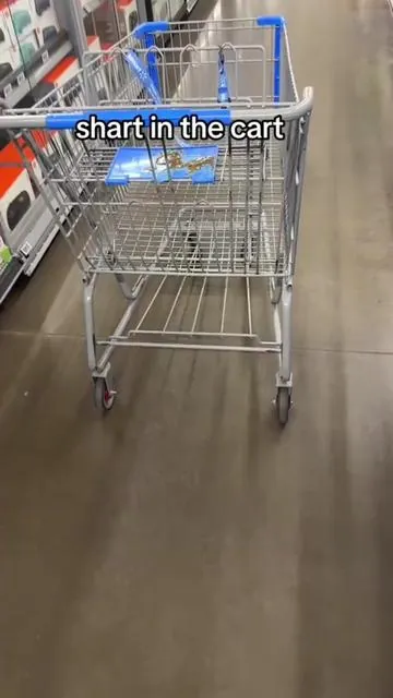I’m not dealing with dirty disgusting shopping carts from the grocery store anymore. Now I bring my own it’s lightweight. It’s collapsible. I don’t need to bring bags or boxes home from the store because I can just transport it in my cart boxes. This thing is the best I’ll link it at the bottom.  #shopping #shoppingcart #costco #aldi #grocery #groceryshopping #grocerycart #costcohaul #costcodeals 