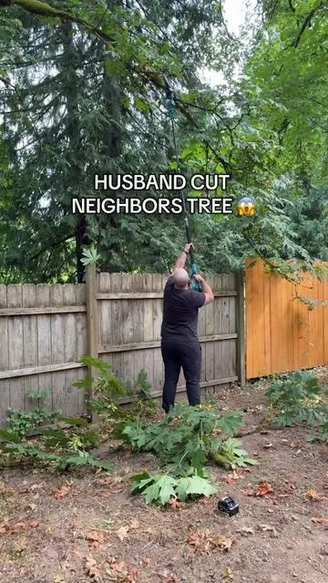 Aside from affiliate work I genuinely mean it, this saw actually cuts so smoothly! #polesaw #cordlesssaw #treetrimmimg #saw #tiktokshopcreatorpicks @SEESII Tools 