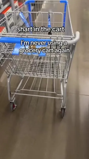 I’m not dealing with dirty disgusting shopping carts from the grocery store anymore. Now I bring my own it’s lightweight. It’s collapsible. I don’t need to bring bags or boxes home from the store because I can just transport it in my cart boxes. This thing is the best I’ll link it at the bottom.  #shopping #shoppingcart #costco #aldi #grocery #groceryshopping #grocerycart #costcohaul #costcodeals 